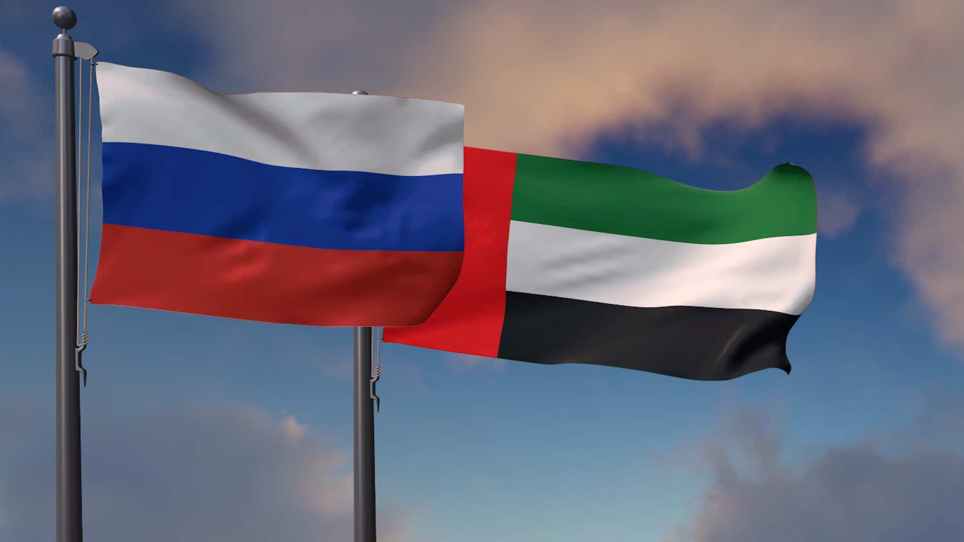 UAE, Russia discuss enhancing parliamentary cooperation